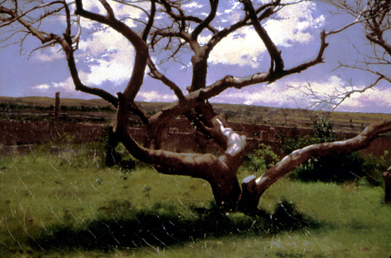 arbre-5.jpg