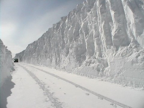 chemin tempête de neige