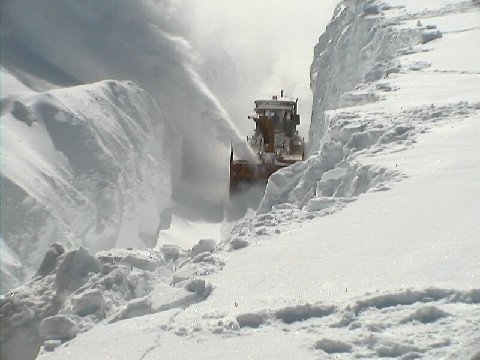 photo de Souffleuse tempête de neige