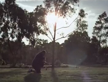 Publicité australie accident