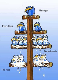 Organigramme du gouvernement