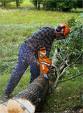 bucheron chainsaw