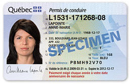 avis de perte de permis