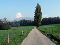 Zone de 50 sur une route de campagne