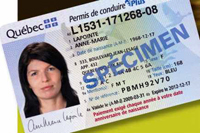 Contravention pour avoir omis de payer son permis