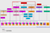 Announcement of change in the organisational structure